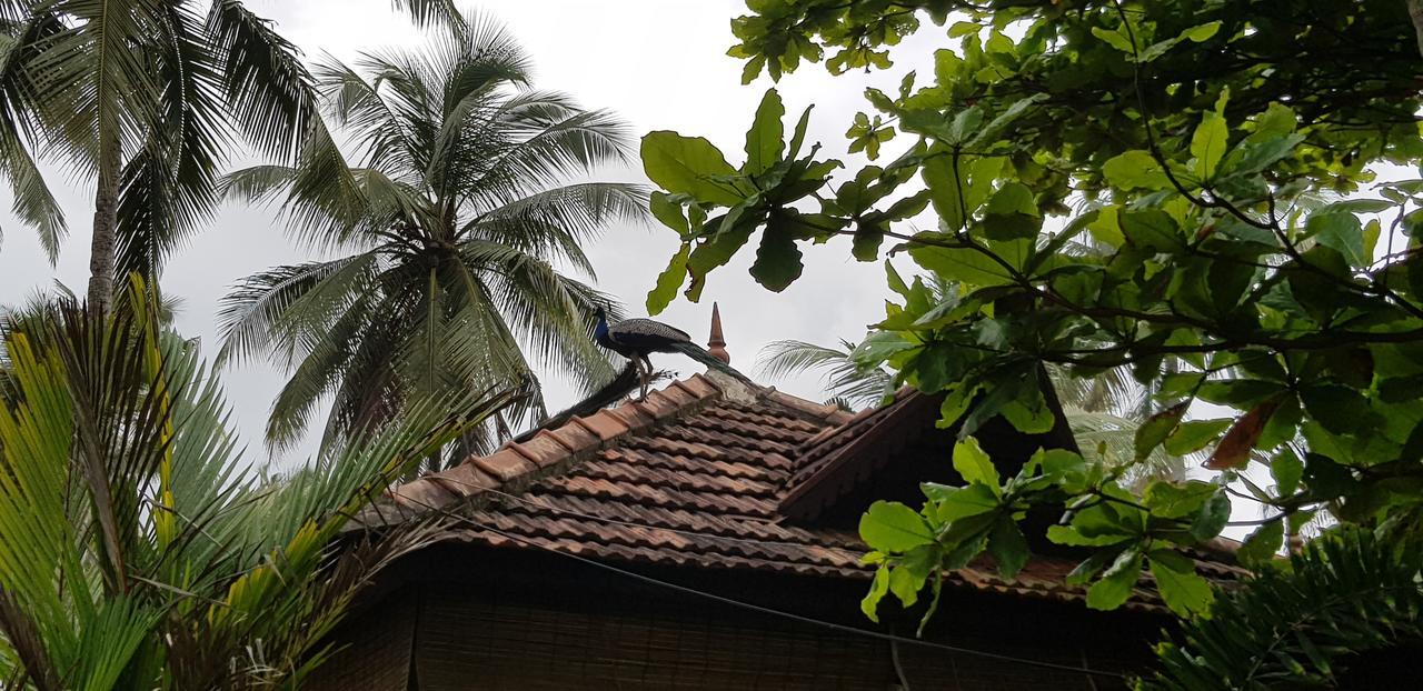 Maadathil Cottages Varkala Extérieur photo